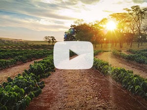 Estate Planning For Landowners