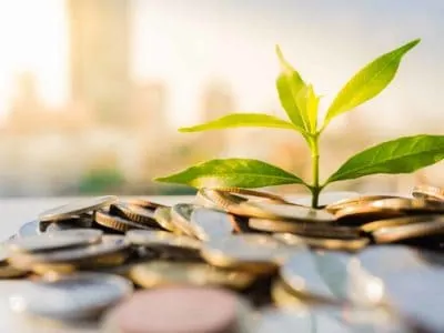 Financial Growth, Plant On Pile Coins With Cityscape Background