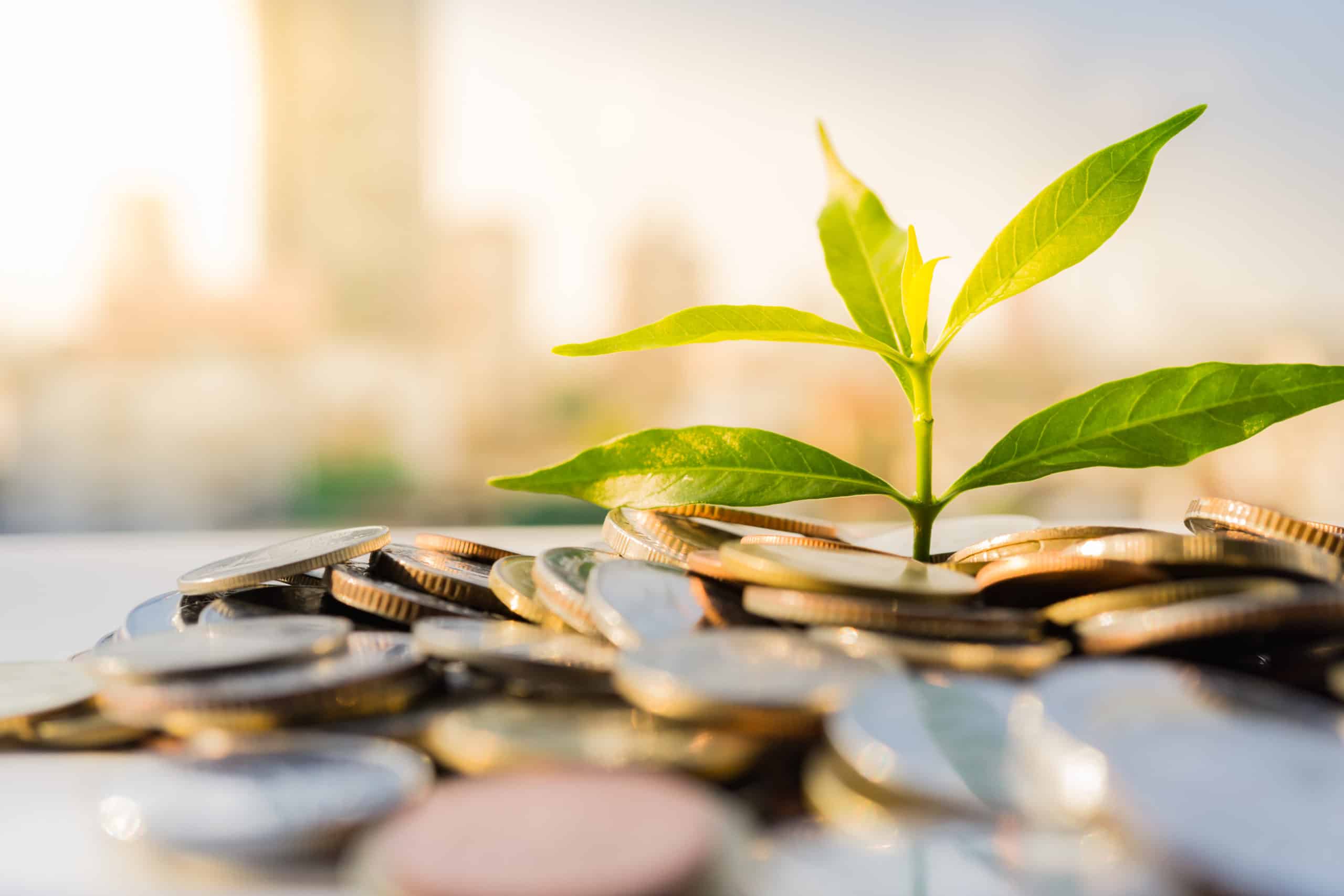 Financial Growth, Plant on pile coins with cityscape background