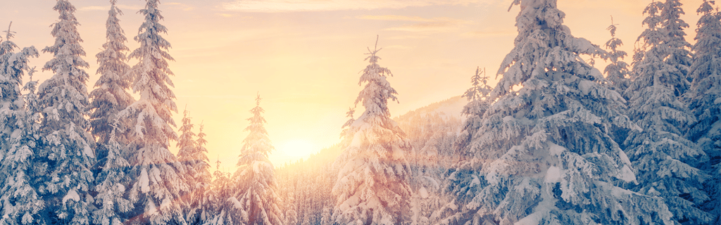 CTC_Wealth Perspectives_Winter 2022_1024x320