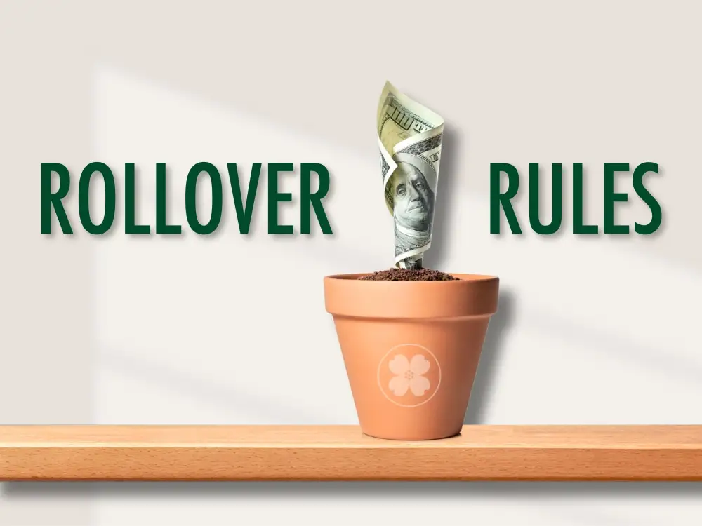 A dollar bill 'growing' out of a flowerpot.