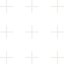 Pluses Icon